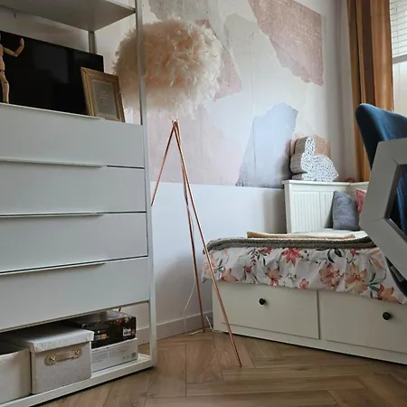 Skandynawski شقة *